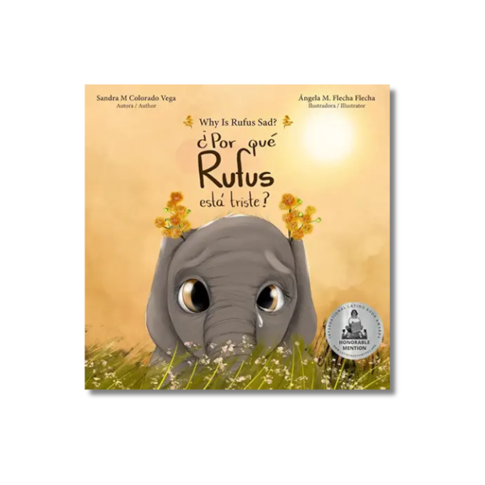 ¿Por qué Rufus está triste? Why is Rufus sad?