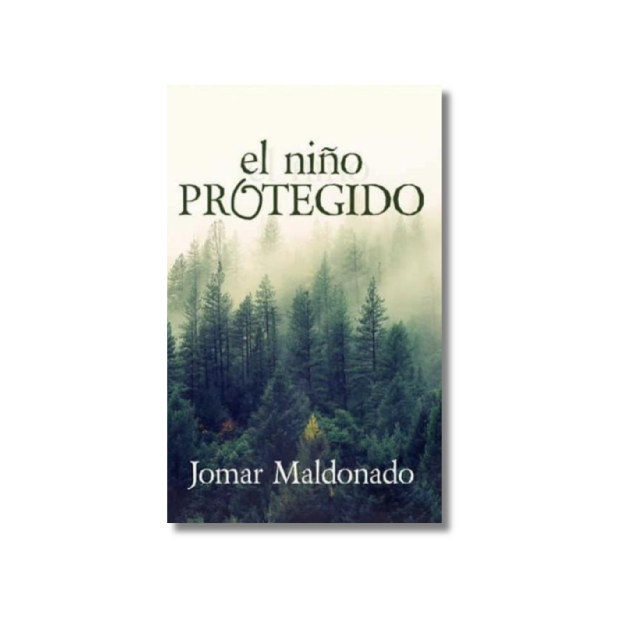 EL NIÑO  PROTEGIDO