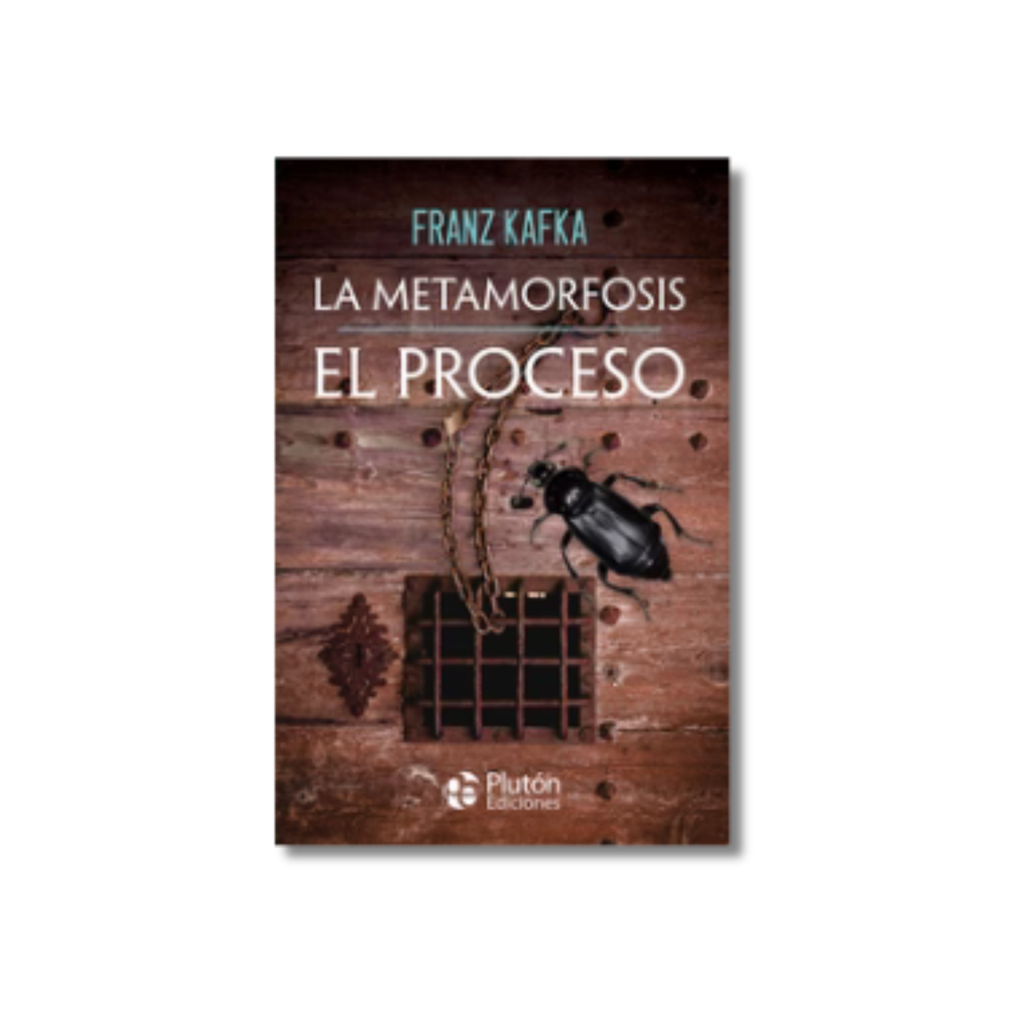 LA METAMORFOSIS (El proceso)